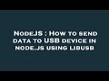 NodeJS : How to send data to USB device in node.js using libusb
