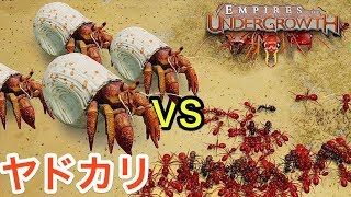 ヤドカリ vs アリ！甲殻類までエサにしてしまう恐ろしい蟻の大群！ #5【 Empires of the Undergrowth 】実況