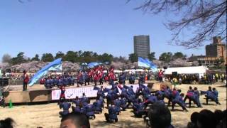 第７回どまつり夜桜ｉｎ岡崎・鯱