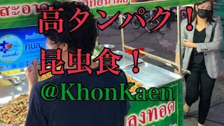 【閲覧注意】昆虫食 Thai Street Food 3 @KhonKaen