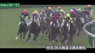 ビダーヤ 4戦目 3歳未勝利                芝1400m中京競馬場 2R 10:20