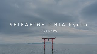 [Compilation Video] - 白鬚神社 Shirahige jinja, kyoto 2021