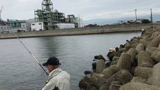 ｆｉｓｈｉｎｇｍａｘ武庫川　チヌ釣り場です