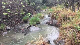 Rosgen Stream Classification System