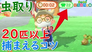 【あつ森】虫取り大会で超簡単に２０匹以上捕まえる方法（時間操作なし）【あつまれどうぶつの森】