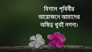 বিশাল পৃথিবীর আয়োজনে আমাদের অস্তিত্ব খুবই নগন্য।