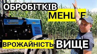 3 роки без оранки? Кукурудза до 4м! Менше обробітків ВИЩЕ врожайність! Міндобрива до 10см