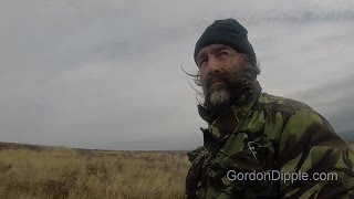 Short Walk on Welsh Moorland