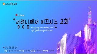 윤보환영광교회(20221225/성탄절 칸타타/위대한 찬양/눅2:14)