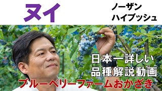 【ヌイ】品種解説動画