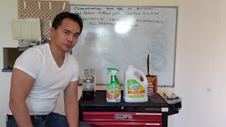 FANTASTIK DISINFECTANT ALL PURPOSE CLEANER Real Reviews 4Real Products Costco Edition CommonScentsy