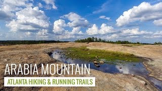 Arabia Mountain: top Atlanta hiking and running trails