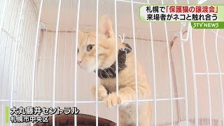 ２月２２日は「ネコの日」　札幌で「保護猫の譲渡会」