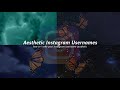 30 Aesthetic Username Ideas for Instagram | Aesthetic Username Ideas 🌻💡