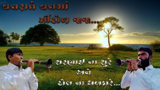 વનરાતે વનમાં મિંઢોળ જાજા ( ગુજરાતી લગ્નગીત ) || Vanrate Vanma Mindhol Jaja