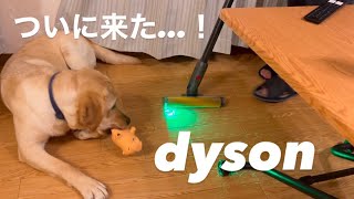 【恐怖映像】我が家にdysonがやってきた！！