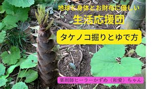 タケノコ掘りとゆで方