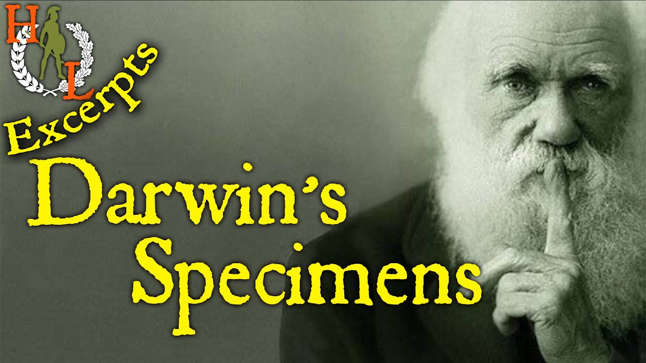 Excerpts: Darwin's Specimen Collecting Aboard The Beagle - YouTube