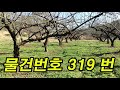 시퀀스 02의성군안평면552평 물건번호 319번 군위싼땅 의성싼땅 군위임야 의성임야 군위상가 의성촌집 군위주택 의성촌집 군위자두밭