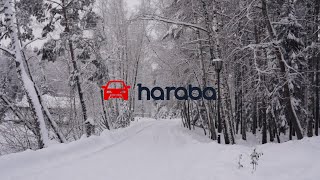 Новогоднее поздравление от команды Haraba