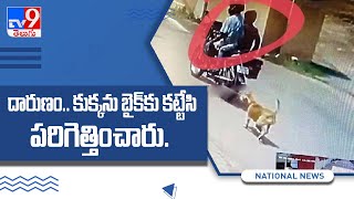 Dog tied to bike and dragged in Mangaluru, 2 arrested - TV9