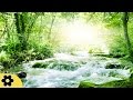 Healing Meditation Music, Relaxing Music, Calming Music, Stress Relief Music, Peaceful Music, ✿2714C