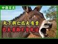 天下興亡匹夫有責.匹夫有難不管死活|Reaction video