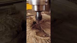 Rare item, Sonokeling wood (Java Palisander), 3d Carving, DIY CNC Router