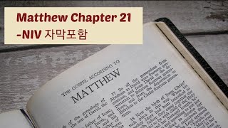 Matthew 21 NIV AUDIO BIBLE (with text)