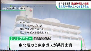 東北電力と東京ガスが共同出資の新電力会社が破産手続き　負債１８２億８０００万円