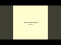 Tranquil Moonlight