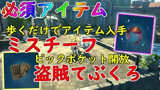 【SO2R】見逃し厳禁！ミスチーフと盗賊てぶくろを簡単に入手する方法！#スターオーシャン2リメイク