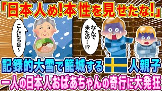 「日本人め！本性を見せたな！」記録的大雪で籠城するスウェーデン人親子、一人の日本人おばあちゃんの奇行に大発狂…w【海外の反応】【ゆっくり解説】