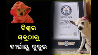 ବିଶ୍ୱର ସବୁଠାରୁ ଦୀର୍ଘାୟୁ କୁକୁର