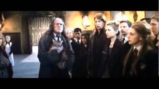 Harry Potter and the Deathly Hallows Part 2 - Argus Filch Scene