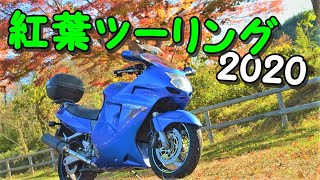 【モトブログ】#91 紅葉ツーリング2020！！前編【CBR1100XX】