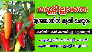 ഇനി മണ്ണില്ലാതെ കൃഷി ചെയ്യാം | പച്ചമുളക്, തക്കാളി, പയർ ഇരട്ടി വിളവ് ലഭിക്കും |Dry Leaf Compost