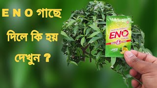 গাছে ইনো দিলে কি হয় দেখুন/unknown uses of E N O - গাছে ইনোর ব্যবহার