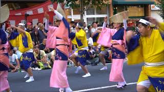 練馬北町じゃじゃ馬連  -中央演舞場-高円寺阿波踊り-２０１７