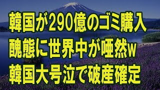 290億のゴミ購入し大後悔で破産確定ｗ【ゆっくり解説】