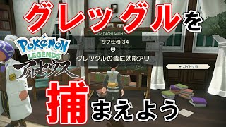 【サブ任務34】『グレッグルの毒に効能アリ』攻略【ポケモンレジェンズアルセウス】