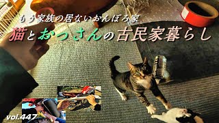 やばい、動かない！異常事態発生／家族の居ないおんぼろ古民家で、おっさんと猫の田舎一人暮らしの日常vlog。群馬県邑楽町。【フカセン 第447話】