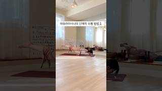 요가 마유라아사나를 배워보아요🧘🏻‍♀️ (자세한 내용 댓글에!) #yoga #요가달인 #고난이도자세