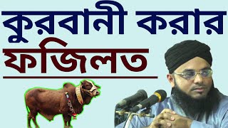 কোরবানির ফজিলত | কোরবানির ফজিলত ও গুরুত্ব | কুরবানীর ওয়াজ | qurbani fazilat | কোরবানির বয়ান