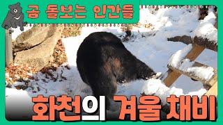 [곰 돌보는 인간들 ep.06] 화천의 겨울 채비 🐻☃️ :::  곰들의 겨울잠 준비 l 행동 풍부화 l 동물 복지 l 사육곰 보호시설 l 야생동물 생츄어리 l 곰보금자리프로젝트