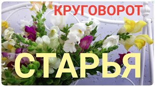 РОСКОШЬ доступная всем! КРУГОВОРОТ СТАРЬЯ в ПРИРОДЕ переделка мебели ИНТЕРЬЕР волшебное преображение