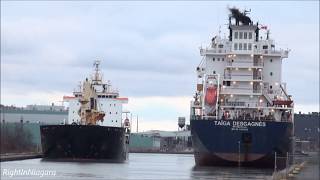 Ships TAЇGA DESGAGNÉS, INA \u0026 OSOGOVO at Lock 7, Welland Canal, 2018