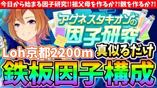 【因子研究】今日から始まる因子研究!!Lohエリ女の鉄板因子構成!!祖父母を作るか?!親を作るか?!　#ウマ娘