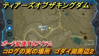 ゼルダの伝説ティアーズオブザキングダム　コログの実の場所　ゴダイ湖周辺２　ポーチ拡張するアイテム　＃７３９　【ティアキン】