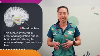 60 Second Science: Anxiety, the amygdala and autism